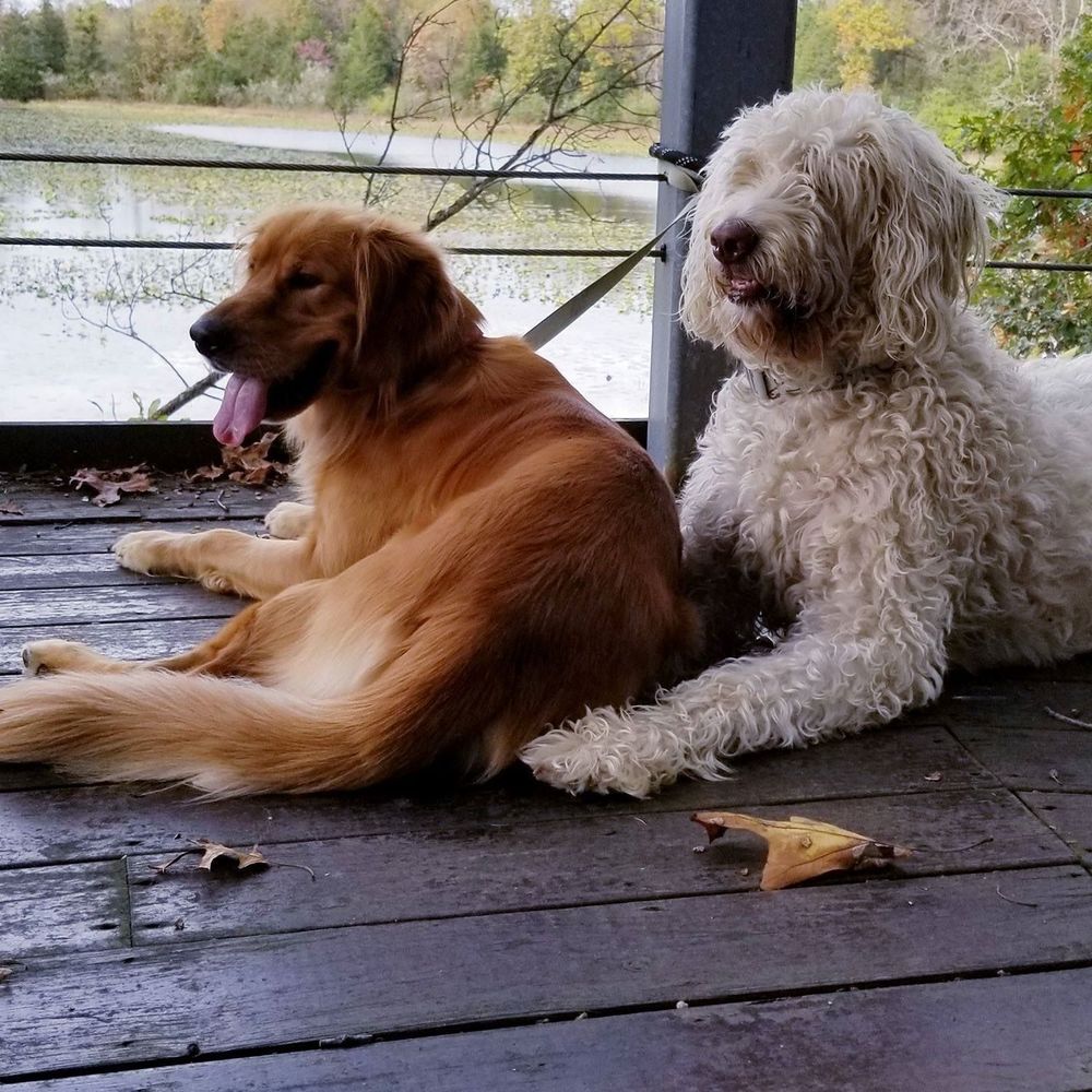 Meet your Posher, Millie